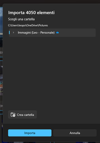 Clicca su "Importa" per iniziare le procedure di importazione